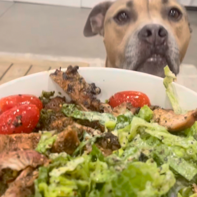 The Caesar Dressing